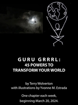 Guru Grrl Book Cover